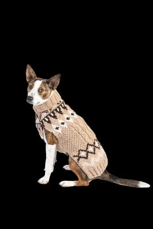 CHILLY DOG Sandy Cable Knit Sweater