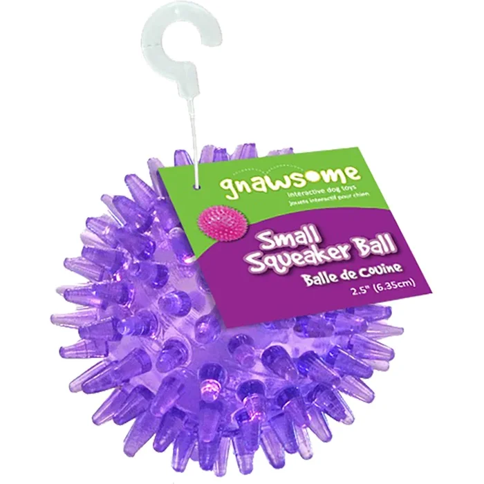 Gnawsome Squeak Ball 2.5″