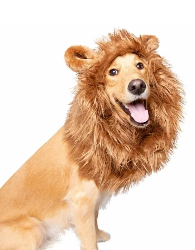 Lion Mane Costume with Ears