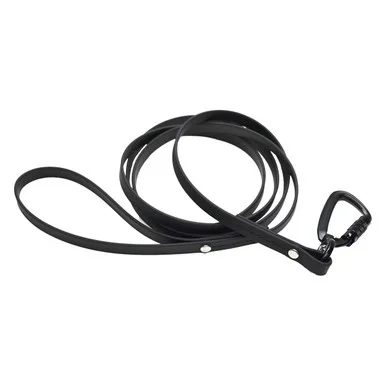 Standard Biothane Leash